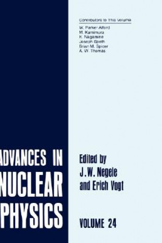 Książka Advances in Nuclear Physics J.W. Negele