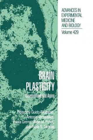 Книга Brain Plasticity Guido Filogamo