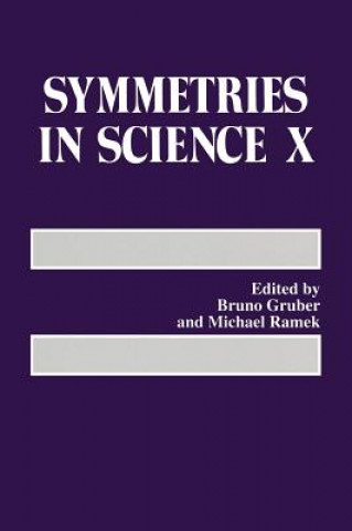 Kniha Symmetries in Science X Bruno Gruber