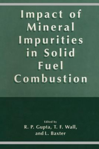 Könyv Impact of Mineral Impurities in Solid Fuel Combustion R. Gupta