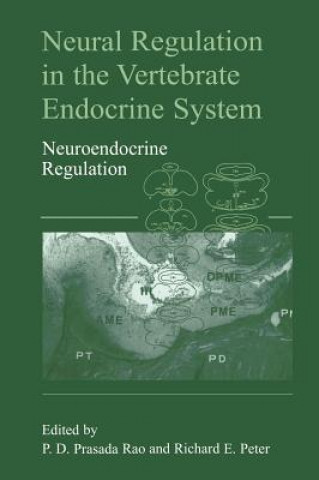 Książka Neural Regulation in the Vertebrate Endocrine System D.S. Prasada Rao