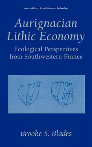 Книга Aurignacian Lithic Economy Brooke S. Blades