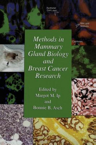 Książka Methods in Mammary Gland Biology and Breast Cancer Research Margot M. Ip