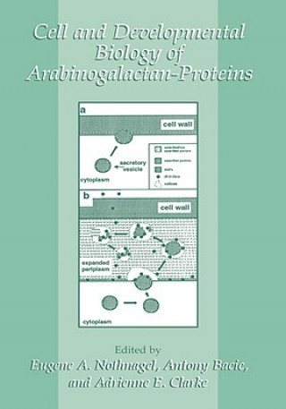 Kniha Cell and Developmental Biology of Arabinogalactan-Proteins Eugene A. Nothnagel