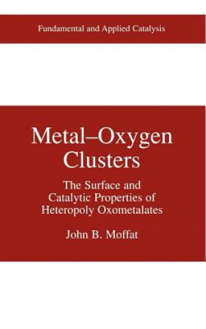 Knjiga Metal-Oxygen Clusters John B. Moffat