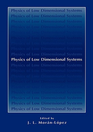 Książka Physics of Low Dimensional Systems J.L. Morán-López