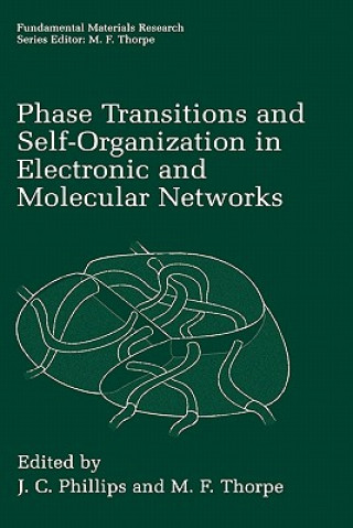 Kniha Phase Transitions and Self-Organization in Electronic and Molecular Networks J.C. Phillips