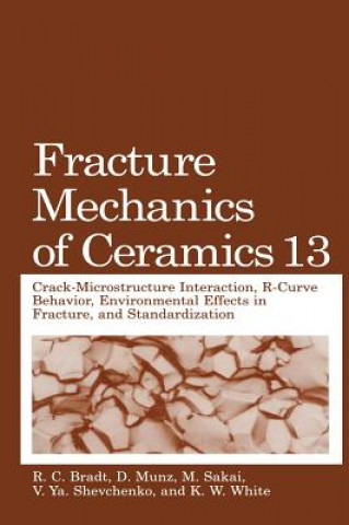 Kniha Fracture Mechanics of Ceramics R.C. Bradt