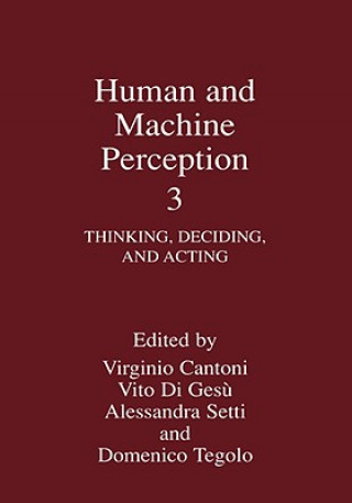Könyv Human and Machine Perception 3 Virginio Cantoni