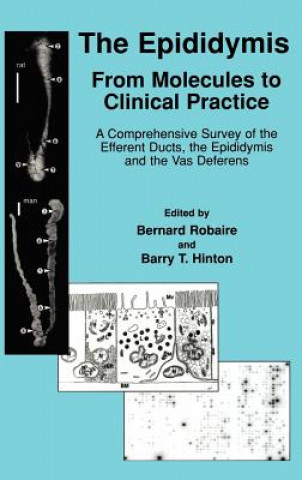 Könyv Epididymis: From Molecules to Clinical Practice Bernard Robaire