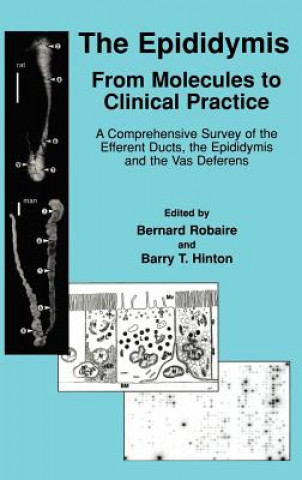 Kniha Epididymis: From Molecules to Clinical Practice Bernard Robaire