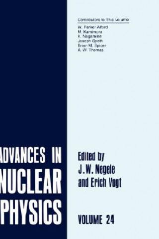 Könyv Advances in Nuclear Physics J.W. Negele