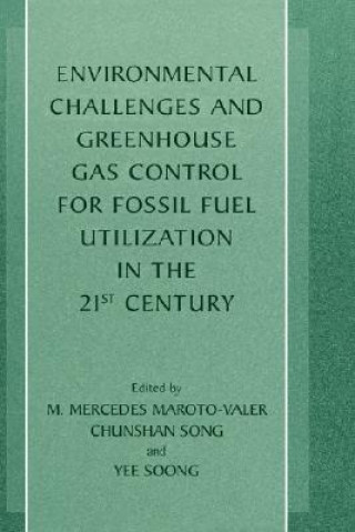 Kniha Environmental Challenges and Greenhouse Gas Control for Fossil Fuel Utilization in the 21st Century M. Mercedes Maroto-Valer