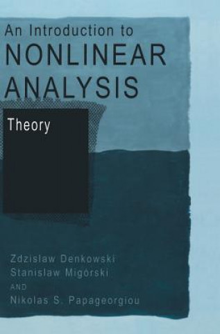 Buch Introduction to Nonlinear Analysis: Theory Zdzislaw Denkowski