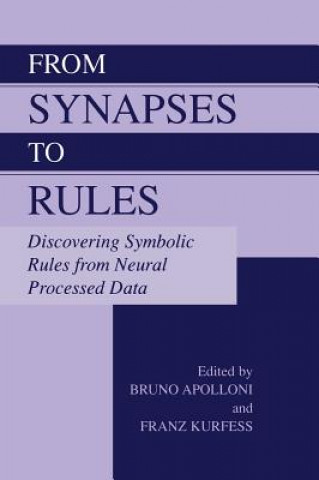 Kniha From Synapses to Rules Bruno Apolloni