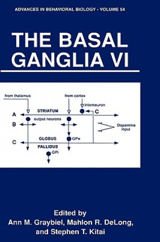 Könyv Basal Ganglia VI Ann M. Graybiel