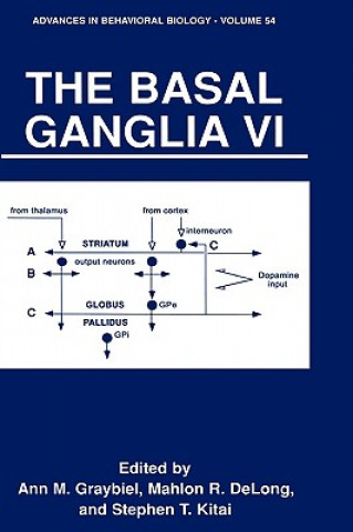 Kniha Basal Ganglia VI Ann M. Graybiel