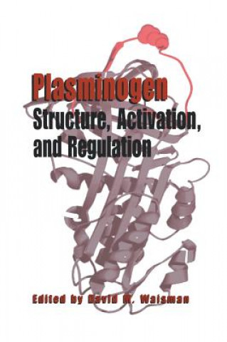 Könyv Plasminogen: Structure, Activation, and Regulation David M. Waisman