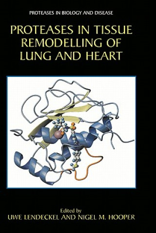 Könyv Proteases in Tissue Remodelling of Lung and Heart Uwe Lendeckel