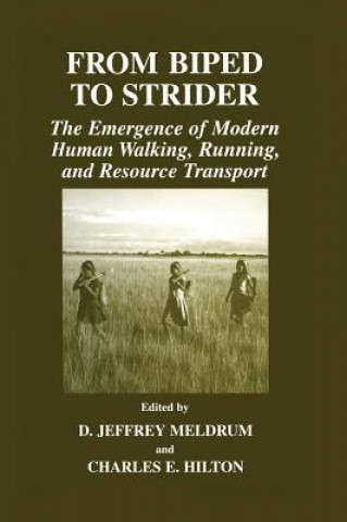 Kniha From Biped to Strider D. Jeffrey Meldrum