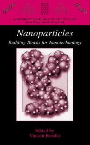 Kniha Nanoparticles Vincent Rotello