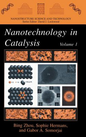 Könyv Nanotechnology in Catalysis Bing Zhou
