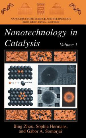 Knjiga Nanotechnology in Catalysis Bing Zhou