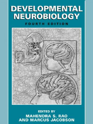 Książka Developmental Neurobiology Mahendra S. Rao