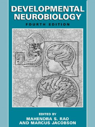 Βιβλίο Developmental Neurobiology Mahendra S. Rao