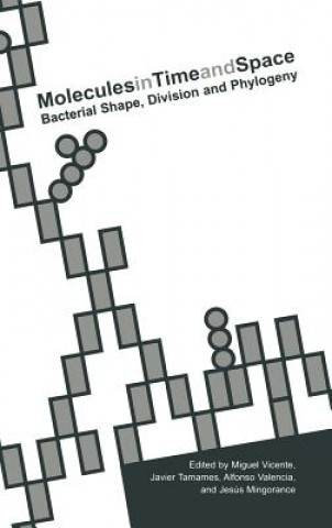 Книга Molecules in Time and Space Miguel Vicente