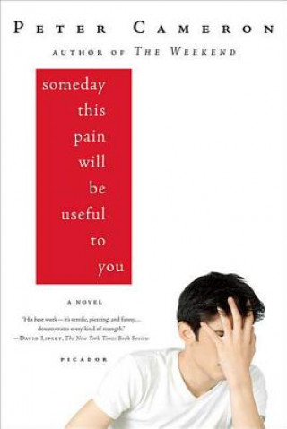 Carte SOMEDAY THIS PAIN WILL BE USEFUL TO YOU Peter Cameron