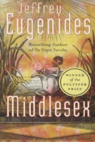 Knjiga Middlesex Jeffrey Eugenides