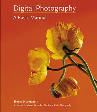 Book Digital Photography Henry Horenstein