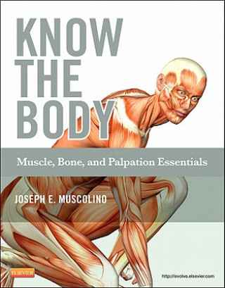 Książka Know the Body: Muscle, Bone, and Palpation Essentials Joseph E. Muscolino