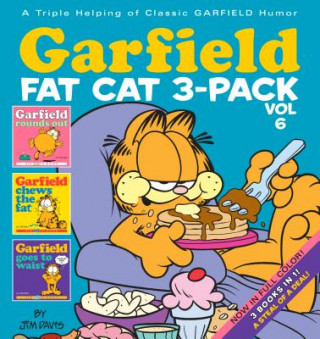 Książka Garfield Fat Cat 3-Pack #6 Jim Davis