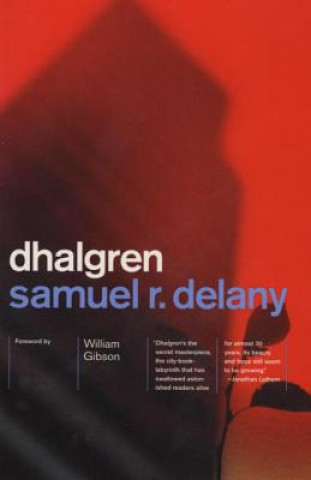 Könyv Dhalgren Samuel R. Delany