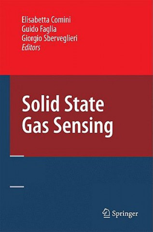 Könyv Solid State Gas Sensing Elisabetta Comini
