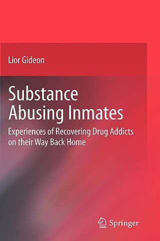 Kniha Substance Abusing Inmates Lior Gideon