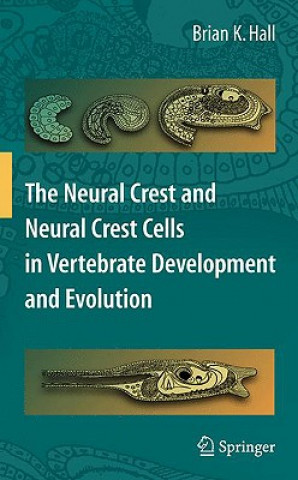 Kniha Neural Crest and Neural Crest Cells in Vertebrate Development and Evolution Brian K. Hall