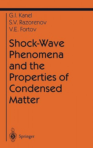 Könyv Shock-Wave Phenomena and the Properties of Condensed Matter Gennady I. Kanel