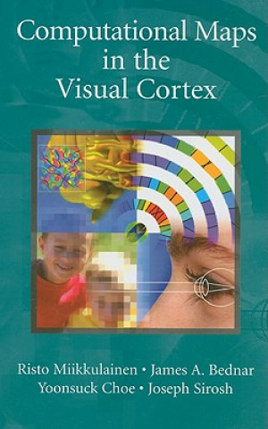 Livre Computational Maps in the Visual Cortex Risto Mikkulainen