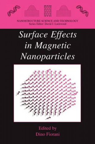 Kniha Surface Effects in Magnetic Nanoparticles D. Fiorani