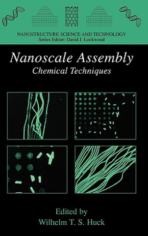 Carte Nanoscale Assembly Wilhelm T. S. Huck