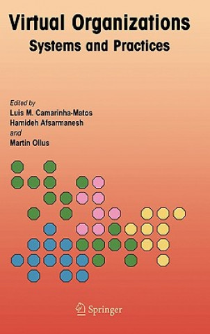 Kniha Virtual Organizations Luis M. Camarinha-Matos