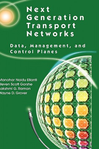 Kniha Next Generation Transport Networks Manohar Naidu Ellanti