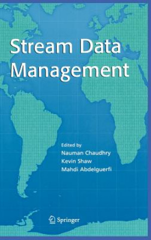 Kniha Stream Data Management N. Chaudhry