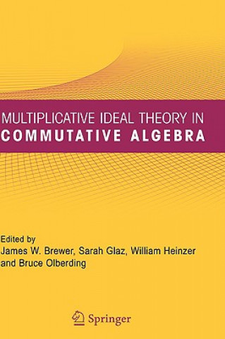 Buch Multiplicative Ideal Theory in Commutative Algebra James W. Brewer