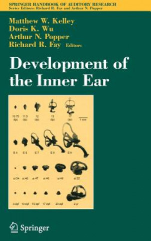 Könyv Development of the Inner Ear Matthew Kelley