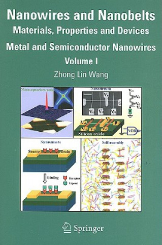 Carte Nanowires and Nanobelts Zhong-lin Wang