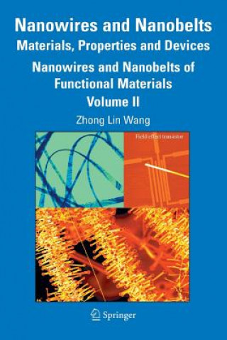 Kniha Nanowires and Nanobelts: Materials, Properties and Devices Zhong-lin Wang